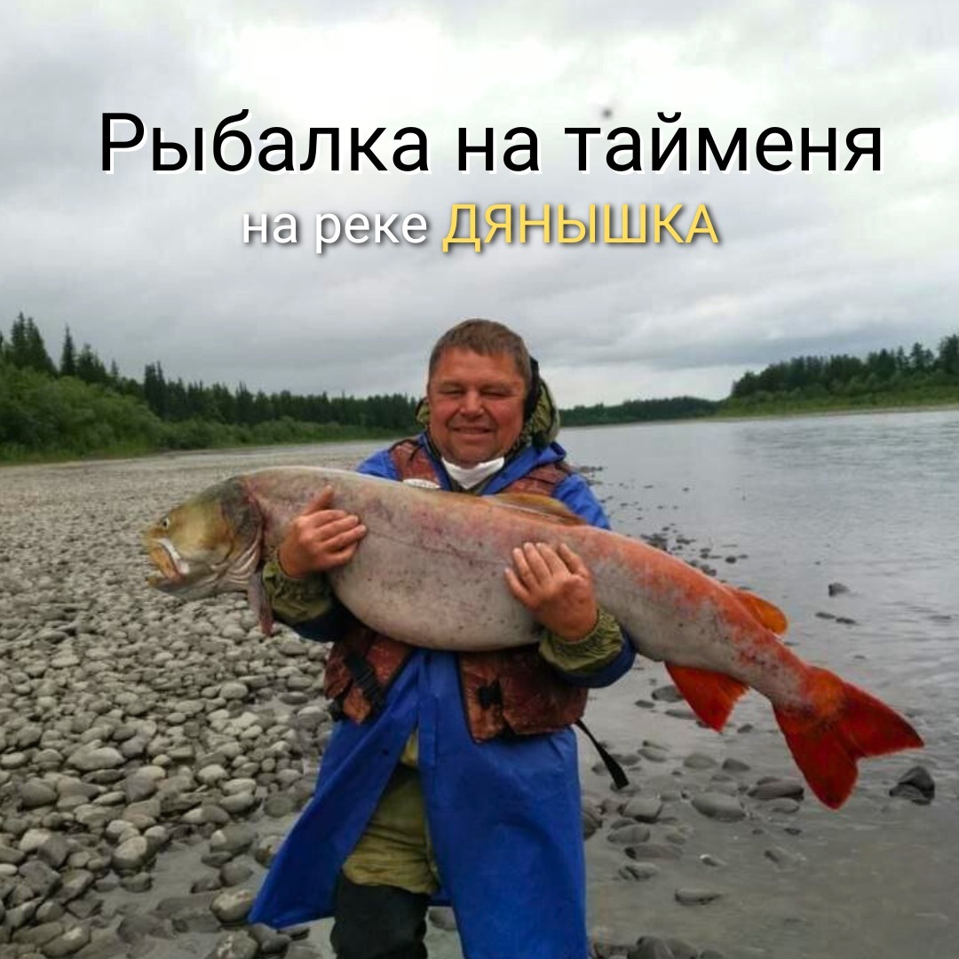 Рыбалка на тайменя на р. Дянышка | AfishaYkt